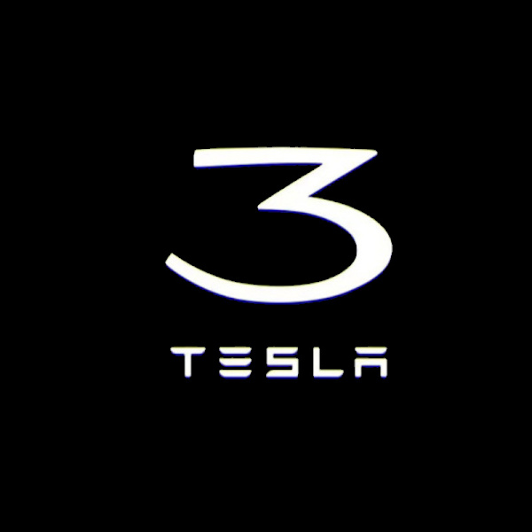 2 stk. Velkommenlys egnet for Tesla, dedikert TESLA MODEL3 E