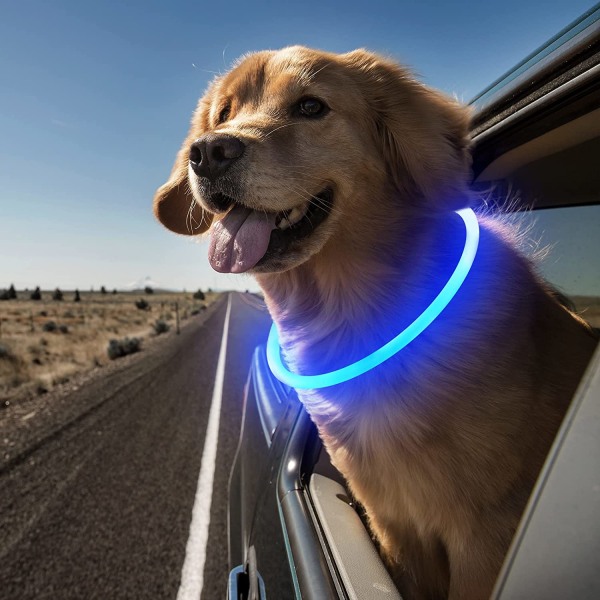 LED-hundehalsbånd, USB genopladeligt lys-op-hundehalsbånd, Glow Safe