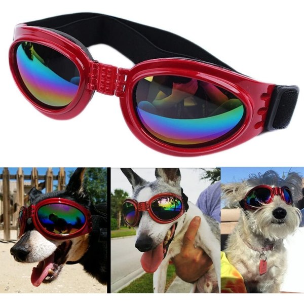 Dog Goggles Eye Wear Protection Waterproof Pet Solglasögon för Do