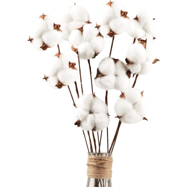 10 pakker naturlige tørkede bomullsblomster Bomullsstilker Naturlig blomster