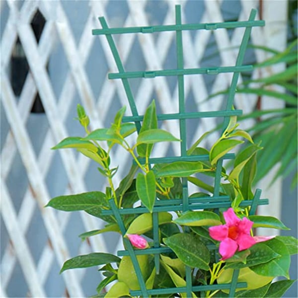 Plante Støtte Vinstok Klatring Pergola Stamme Fast Støtte Potte Su