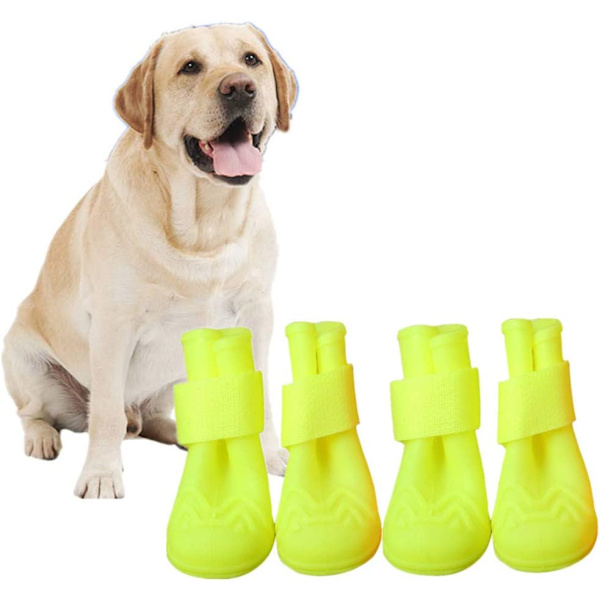 2 par hundskor, hundstrumpor, hundskor, stora D