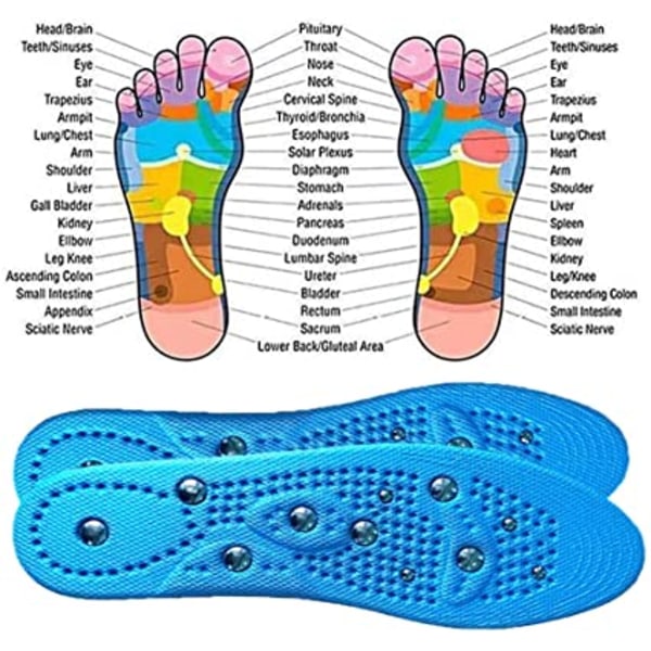 Blå magnetiske slankeindlægssåler, 2 par 35-40 magnetisk akupressur