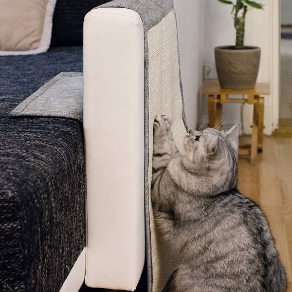 Kattens klorematte - Beskyttelse av sofa, lenestol og møbler