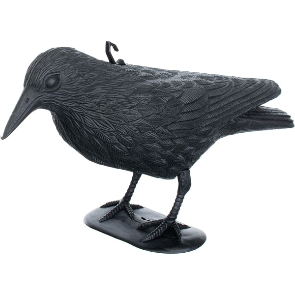 Pigeon Repellent - Crow - Karkottaa pieniä lintuja ja sikoja