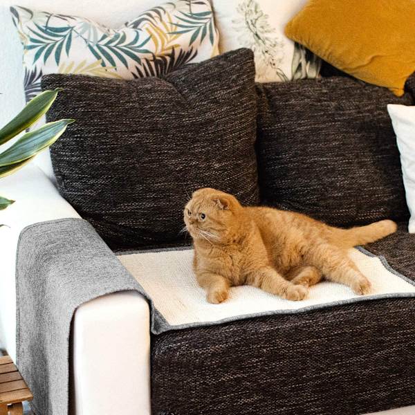 Kattens klorematte - Beskyttelse av sofa, lenestol og møbler