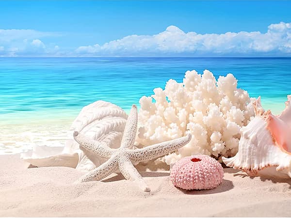 30x40cm, Seashore shells 5d diamantmalet rhinestones broderi