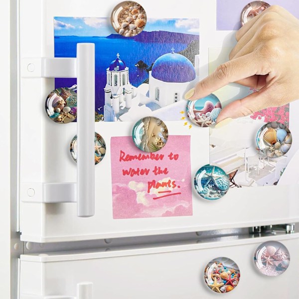(30mm) 12 kpl Ocean Shells -jääkaappimagneetti, Pyöreä Koristeellinen Jääkaappimagneetti, 3D Jääkaappimagneetti, Lasten Jääkaappimagneetti