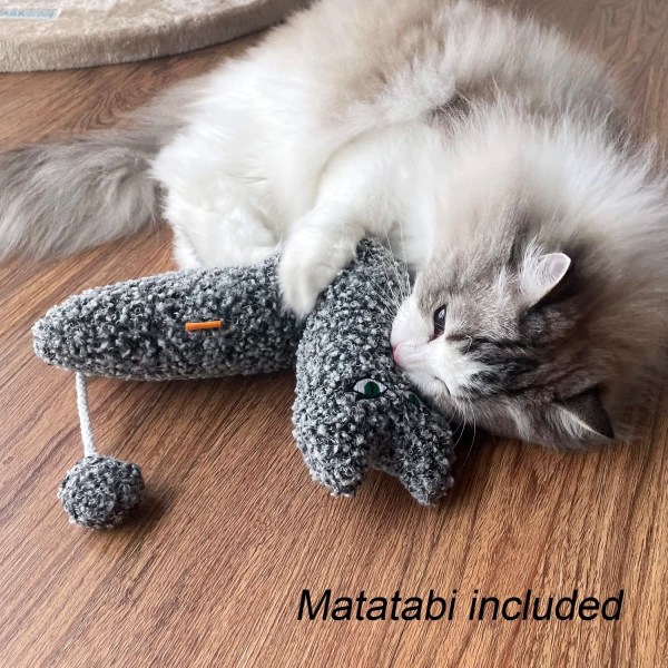 Kattemynte Matatabi-pute for katter og kattunger, katteleke for innendørs  katt 6f0b | Fyndiq