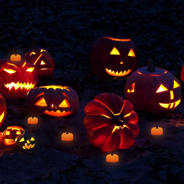 Halloween 12-pak LED græskarlys, Jack-O'-Lantern, lille Ora