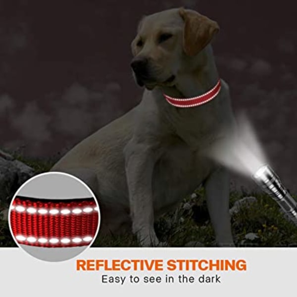 Reflekterende hundehalsbånd i nylon med sikkerhedsspænde, justerbart kæledyr C