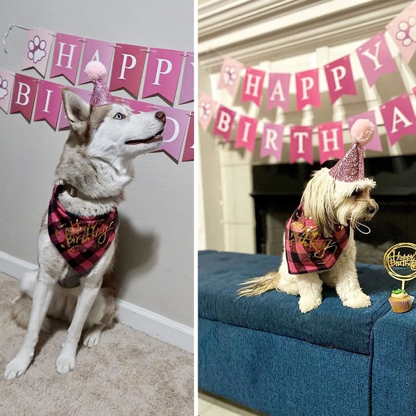Dog Birthday Boy Bandana, rosa, hund 1:a födelsedagsfest tillbehör