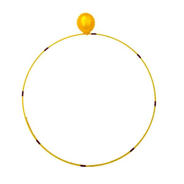 Vattensport Simma Genom Ringar - Blandat Pack | Justerbar