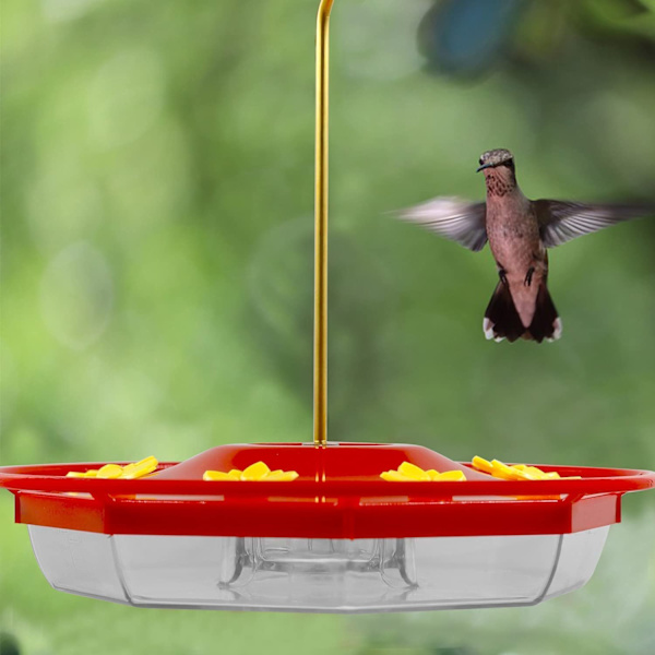 Kolibri Foderautomat, Blomster Foderautomat med Fodringsstationer til