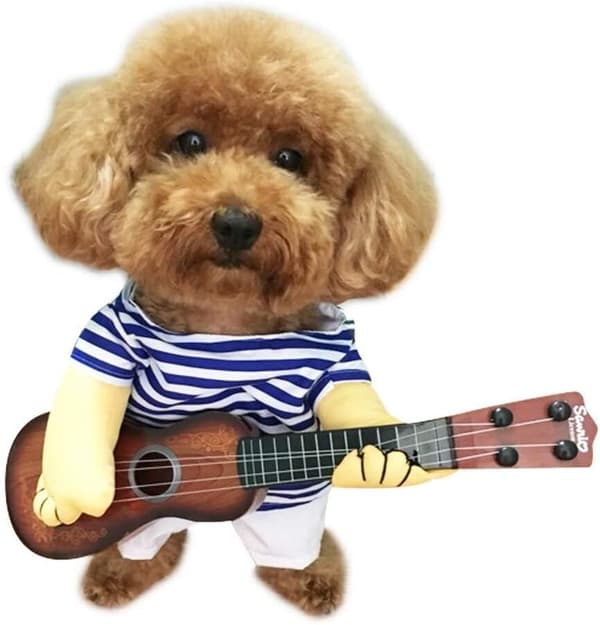 Husdjursgitarr Kostym Hundkostymer Katt Halloween Jul Cosplay