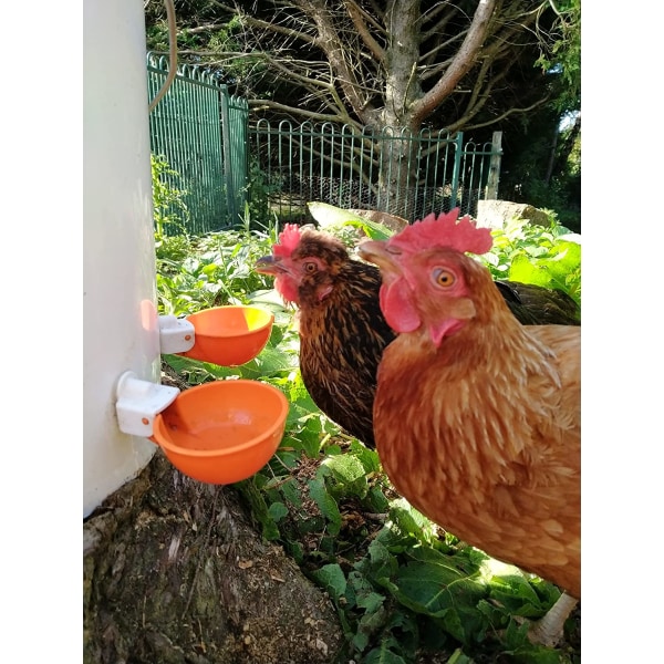 (6 pakke) store automatiske vanningskopper for kylling | Kyllingvann Fe
