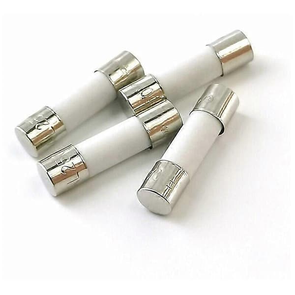 10x keramisk trög säkring (T) 10A / 250VAC 5x20mm