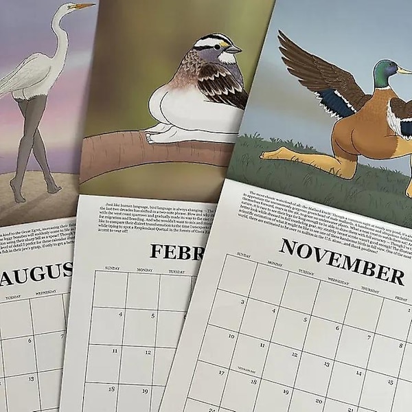Precis fågelkalender 2024 - En exakt guide för fågelskådning under det kommande året