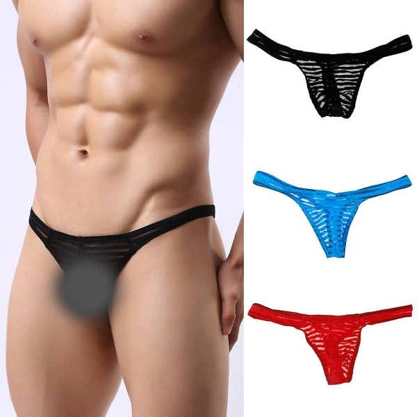 2 Män Sexiga Lågväxta Sheer Mesh G-string Underkläder Stringtrosa T-rygg