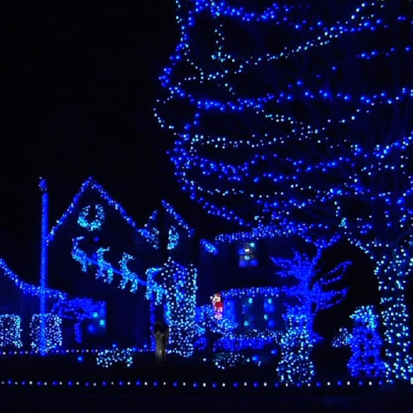 Ljusslingor för utomhusbruk, 1000 LED 100 meter, Plug-in-modell Blue 1000 LED