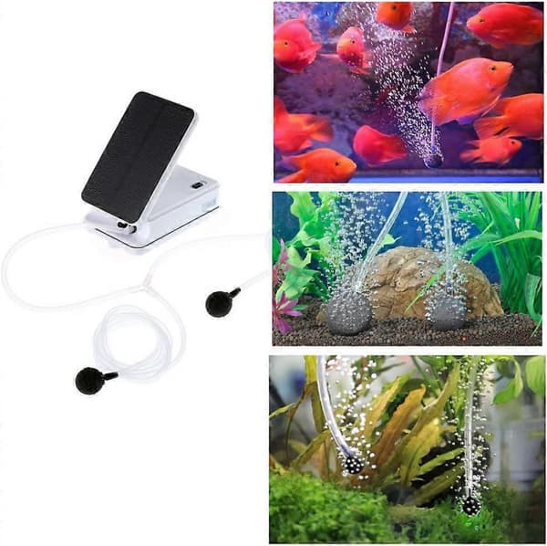Solcellsdriven Luftpump, Syresättare och Dammluftare Kit