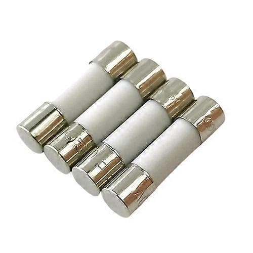 10x keramisk trög säkring (T) 10A / 250VAC 5x20mm
