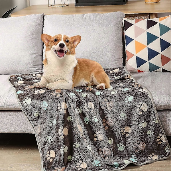 3-pack Hundfilt Mjuk Varm Flanell Kattfilt, Utmärkt Husdjursfilt för Katter, Valpar, Små Mellanstora Stora Hundar, 58 x 41 cm