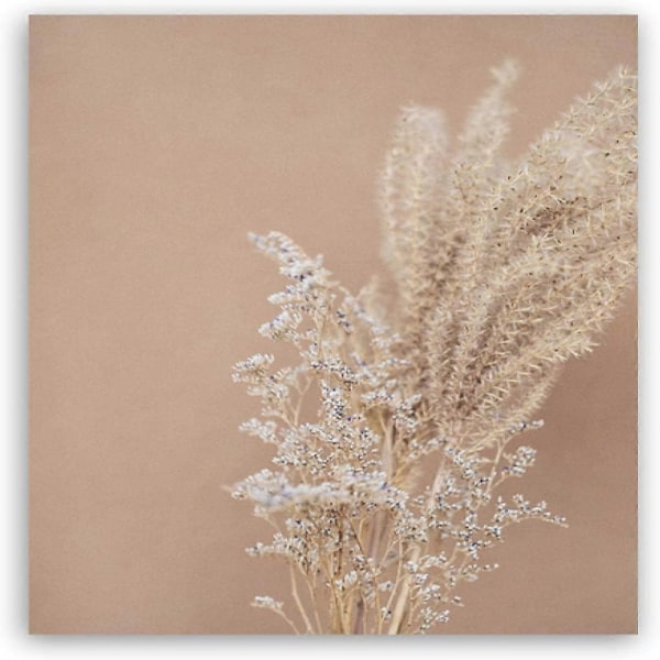 Målardukstryck Pampasgräs, Boho Botanisk Affisch Bilder 20x30cm(8x12in)x3 Oramad