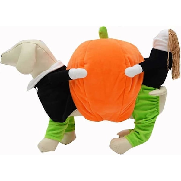Hundkläder Rolig Pumpa Valpdräkt Hund Katt Bärande Pumpa Fancy Kostym Halloween Party Storlek M