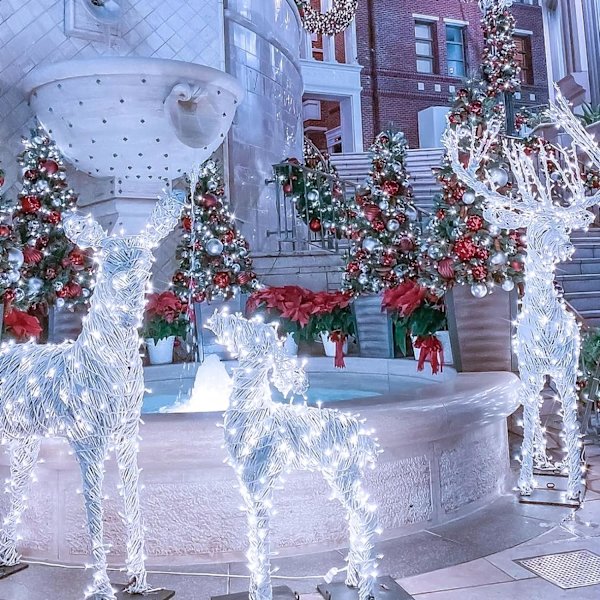 Varmt vita julbelysning inomhus, 10 meter 100 LED-julsträngljus White