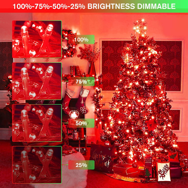 Varmvit julbelysning inomhus, 33ft 100 LED julslinga Red and Green
