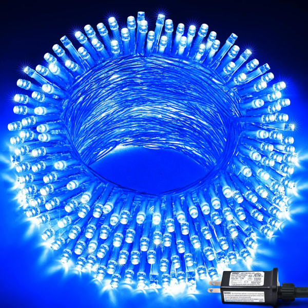 Varmvit julbelysning inomhus, 33ft 100 LED julslinga Blue