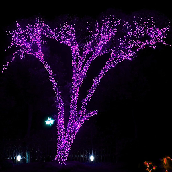 Ljusstarka 300 LED-julkulor, 30,5 meter, Anslutningsbara, Vattentäta Purple 300 LED