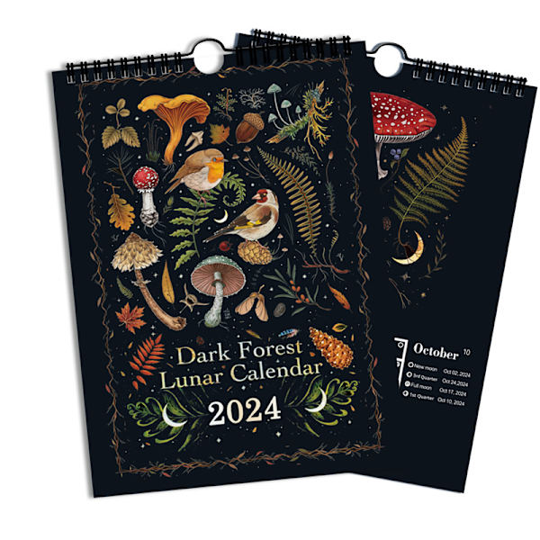 2024 Dark Forest Calendar Office Illustration Calendar 1 pcs