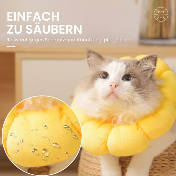 Justerbart katthalsband, mjukt hundhalsband