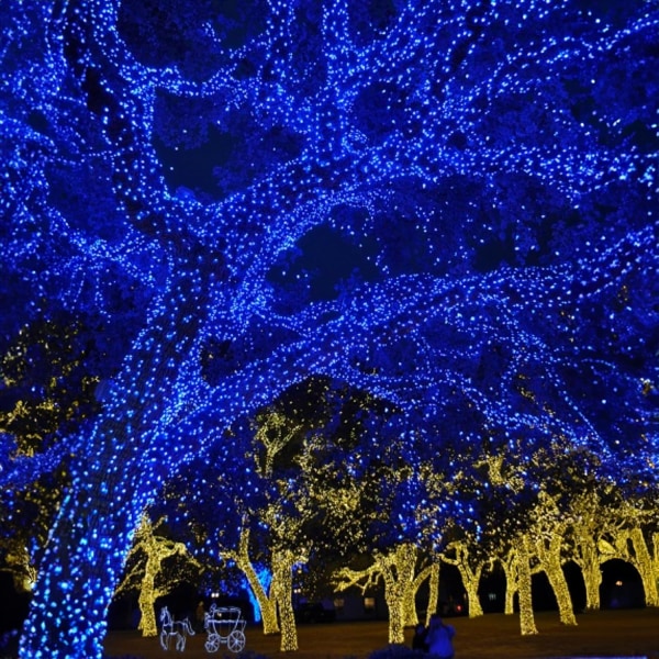 Ljusslingor för utomhusbruk, 1000 LED 100 meter, Plug-in-modell Blue 1000 LED