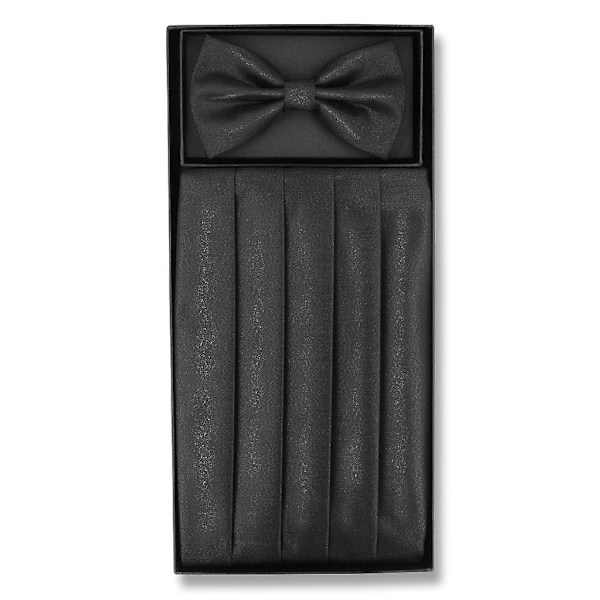 Cummerbund & Fluga Solid METALLIC Design Herr Cummerbund Flugset