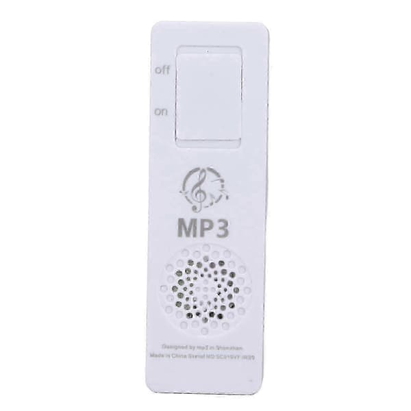 MP3-spelare, Musikspelare