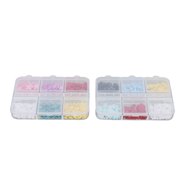 2 Ask 12 Rutor 3D Blomnagelcharm Resin DIY Nagelsmycke Dekoration Strass Dekaler