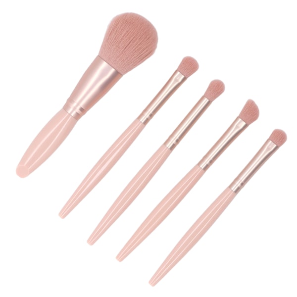 5-pack Sminkborste Set Bärbar Multifunktionell Kosmetisk Borste Set med Spegelask Aprikosrosa