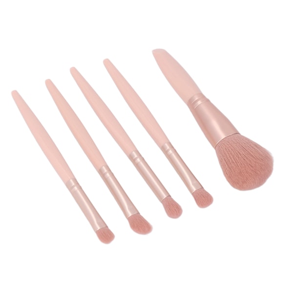 5-pack Sminkborste Set Bärbar Multifunktionell Kosmetisk Borste Set med Spegelask Aprikosrosa