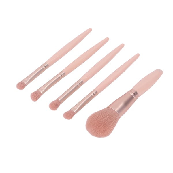 5-pack Sminkborste Set Bärbar Multifunktionell Kosmetisk Borste Set med Spegelask Aprikosrosa