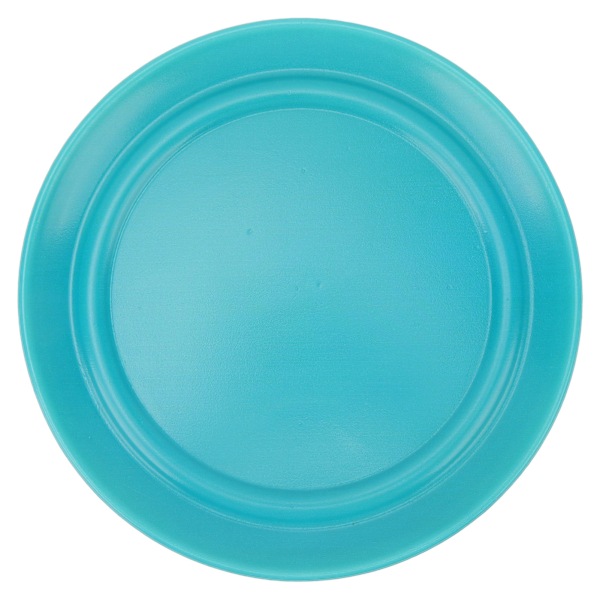 Flygande Frisbee för Barn, Lek & Träning, Mjuk PU-Sportdisk för Utomhuslek, Örn