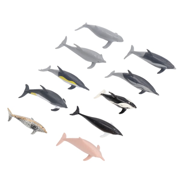 10 st Delfinmodellleksaker Barnleksak Simuleringshavsdjurfigurer Statisk Prydnad