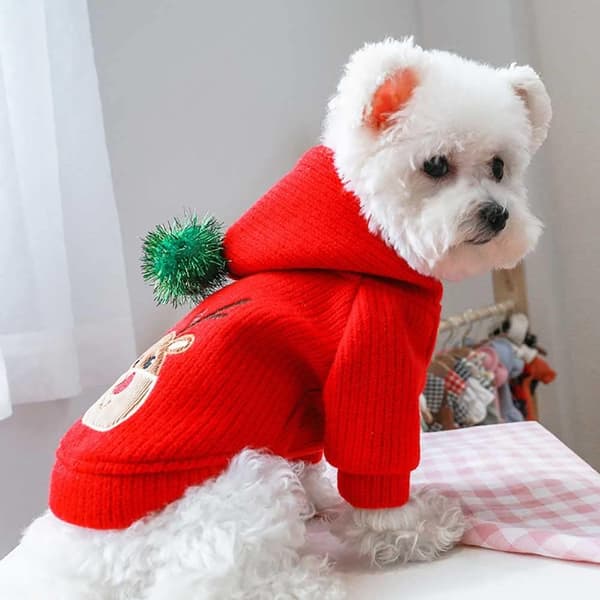 Hund Juldräkt Husdjur Julkläder Vintervarma