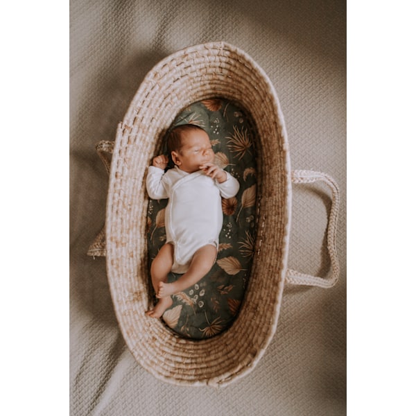 Carrycot sheet 2-pack Jungle Bird/Grey Dots