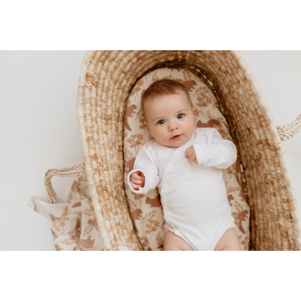Carrycot sheet 2-pack Grey Dots/Light Grey