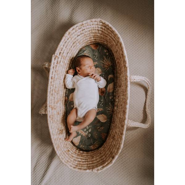 Carrycot sheet 2-pack Black Dots/Bloom