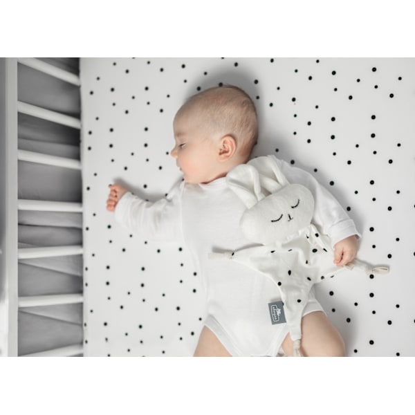 Sleepus - The first DouDou cuddly toy