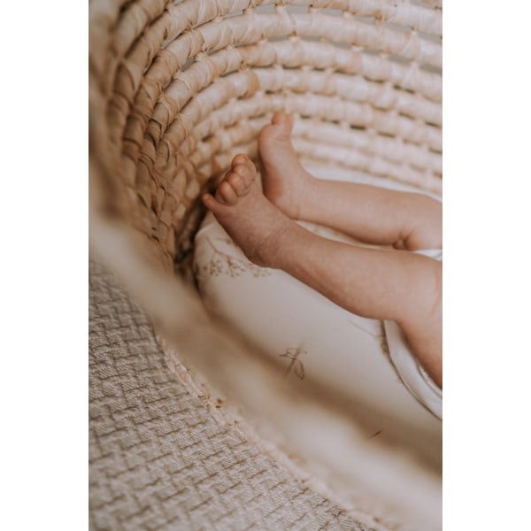Carrycot sheet 2-pack Black Dots/Bloom